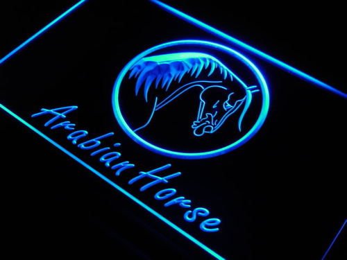 Arabian Horse Model Shop Breed Neon Light Sign